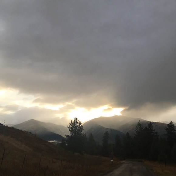 Meet your Posher, Kisha - Picture 1 of 1